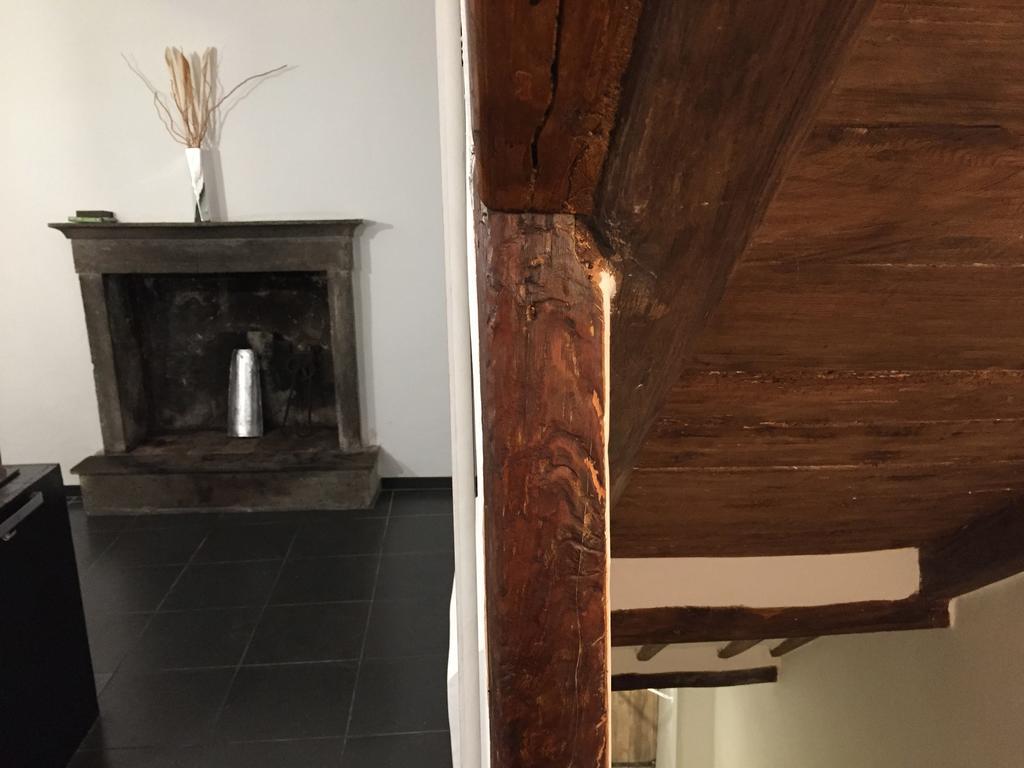 La Dell'artista Apartment *